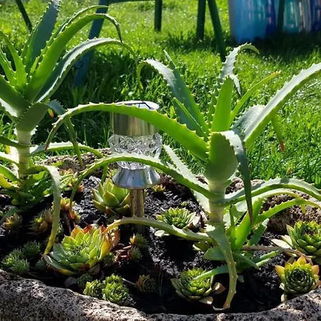 House Vacation With Pool,three Rooms,near Sibenik * Planjane