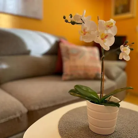 House Vacation With Pool,three Rooms,near Sibenik