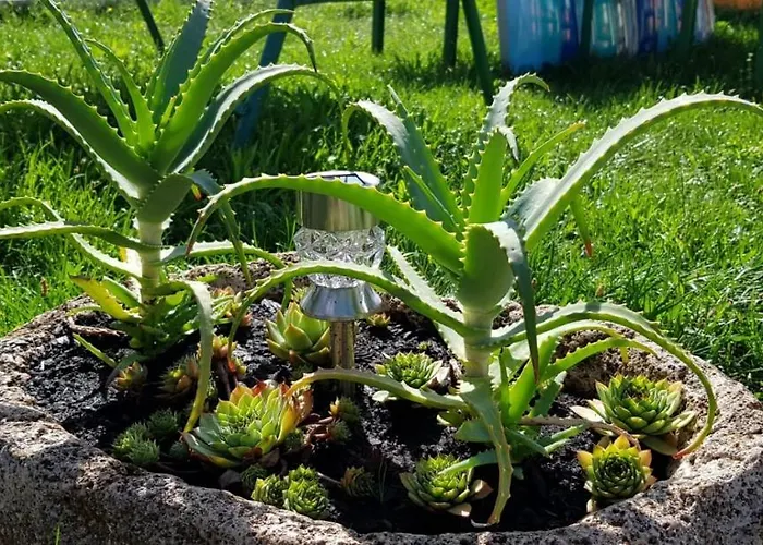 House Vacation With Pool,three Rooms,near Sibenik * Planjane