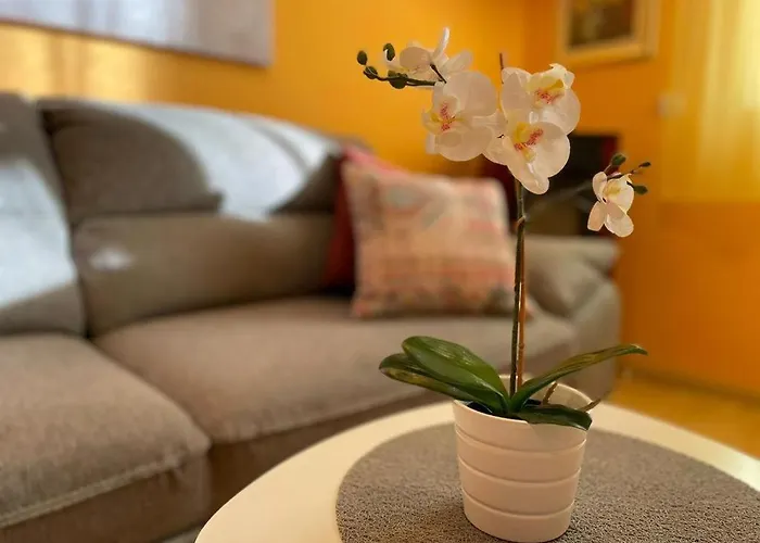 House Vacation With Pool,three Rooms,near Sibenik